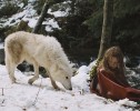 Выживая с волками