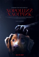 <h4>Смотреть «Глазами пса / Хороший хлопчик» онлайн</h4>