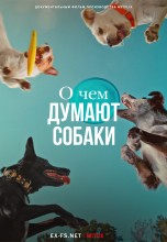 <h4>Смотреть «О чем думают собаки» онлайн</h4>