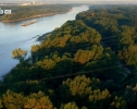Nat Geo Wild: Дунай. Европейская Амазонка. Леса, разливы, морозы