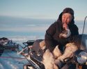Челюскин. Задание императора