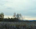 Прелесть