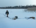 Очень странные каникулы