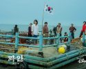 Криминальные элементы