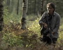 40 акров