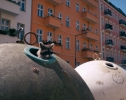 Побег из зоопарка