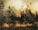 Пылающий горизонт