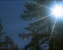 День животных